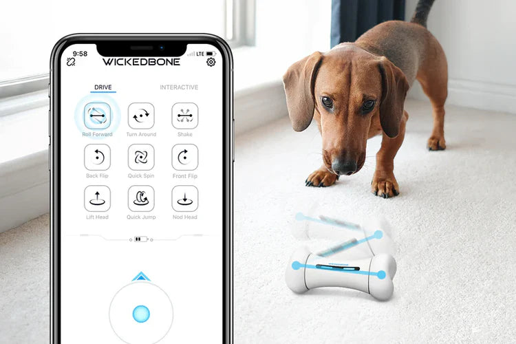 WickedBone smart APP pet toy