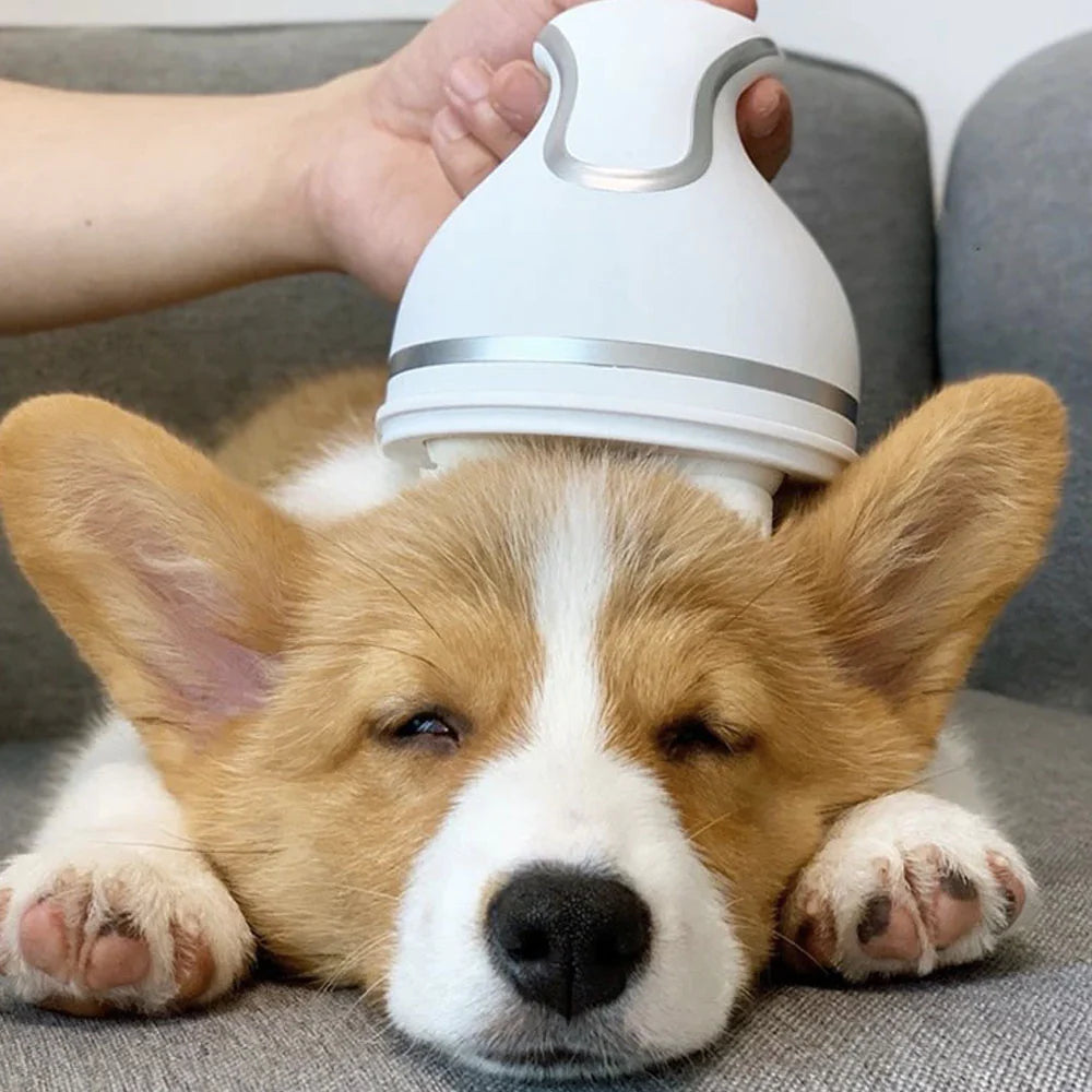 Smart Scalp Massager